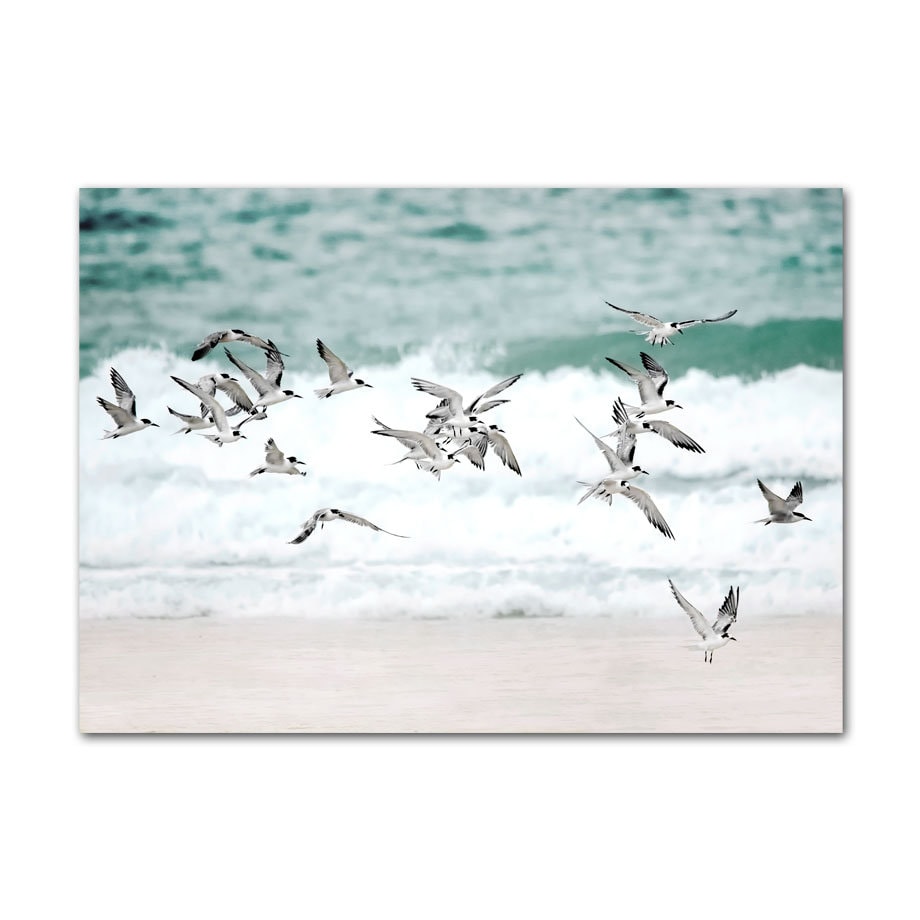 Poster Surfbrett Strand Buggy Palmen Meer I Wandbilder Wohnzimmer & Schlafzimmer I Wand Deko I Kunst Druck I ohne Rahmen-9