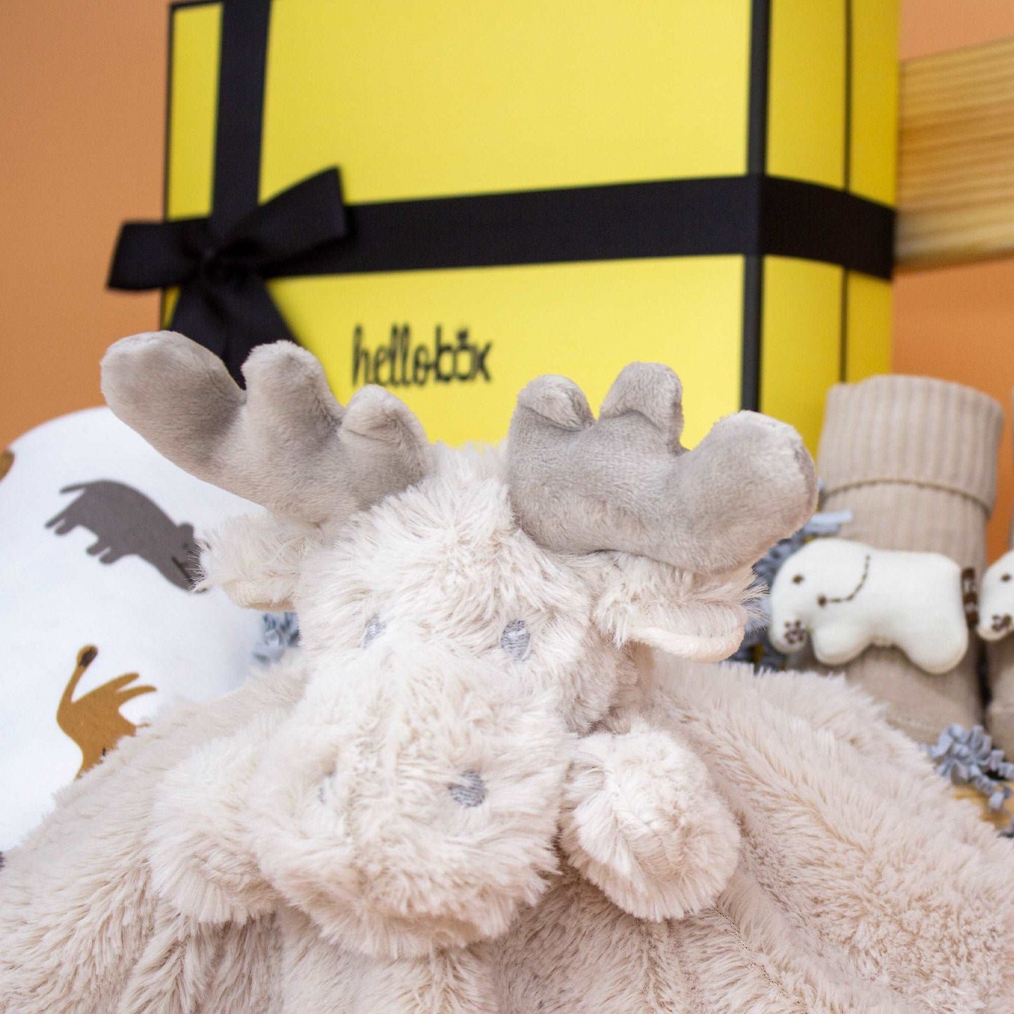 Geschenkset für Neugeborene – Für Jungen & Mädchen