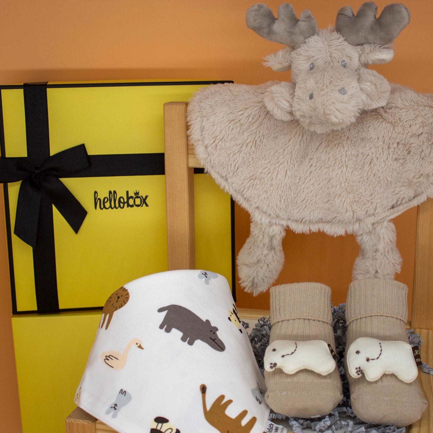 Geschenkset für Neugeborene – Für Jungen & Mädchen