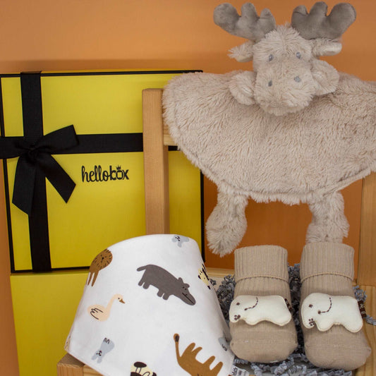 Geschenkset für Neugeborene – Für Jungen & Mädchen