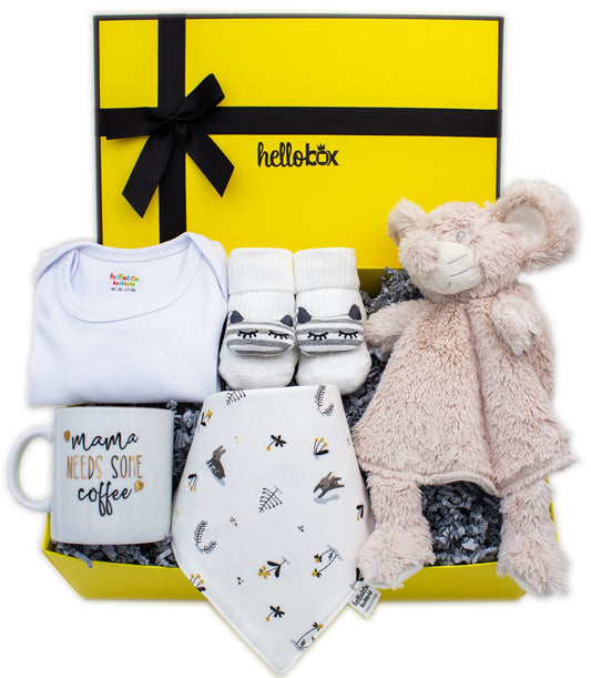 Baby Geschenk zur Geburt – Junge | Schmusetuch, Lätzchen & Anti-Rutsch-Söckchen